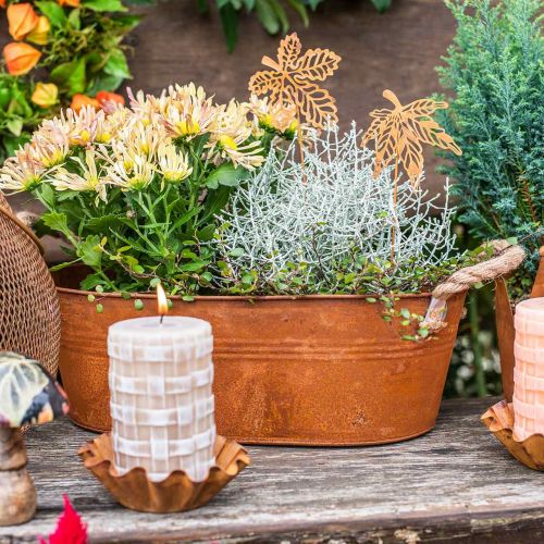 Floristik24 Vaso para plantas com asas, tigela de ervas, decoração de outono, pátina L28cm A11cm