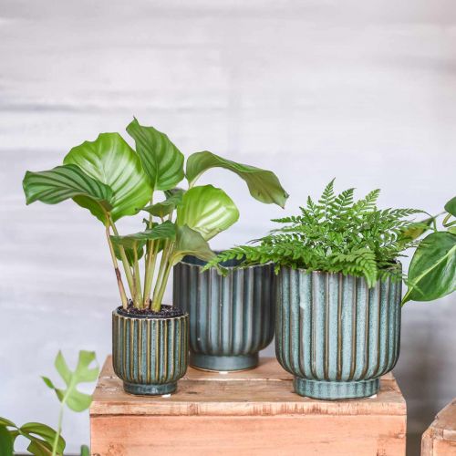 Floristik24 Vaso de planta, vaso de cerâmica, plantador de papelão verde, marrom Ø11,5cm A12,5cm