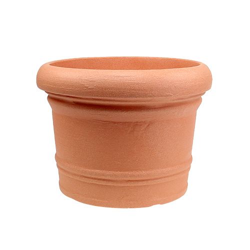 Floristik24 Vaso para plantas Terra Ø30cm Alt.23cm, 1p