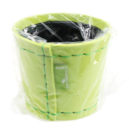 Floristik24 Vaso para plantas verde claro Ø12cm Alt.10cm, 1p