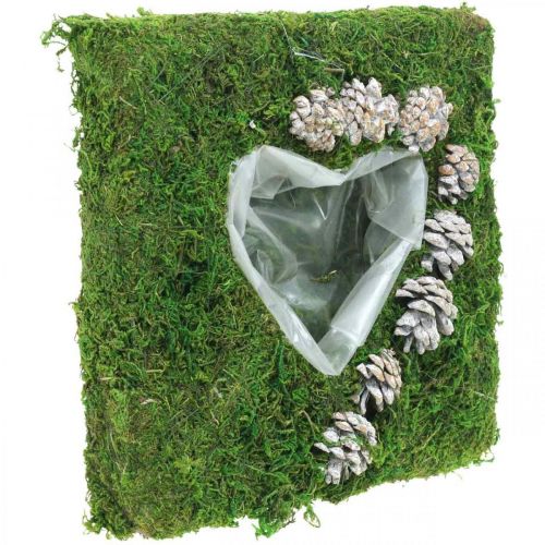 Floristik24 Almofada de plantas musgo e cones de coração, lavados de branco 25 × 25 cm