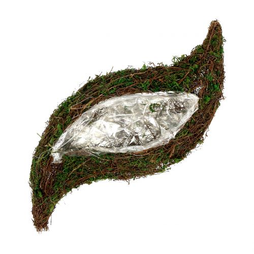 Plante musgo ondulado com videira 28cm x30cm