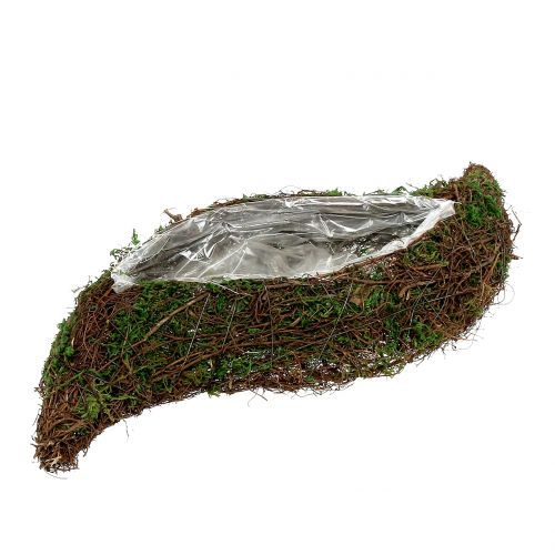 Floristik24 Plante musgo ondulado com videira 28cm x30cm