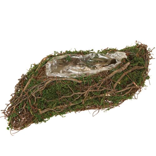 Vaso pequeno para plantas Plant Wave Vines com musgo 31×15×7cm