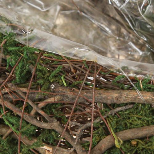 Itens Vaso pequeno para plantas Plant Wave Vines com musgo 31×15×7cm