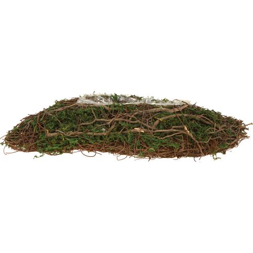 Itens Vaso pequeno para plantas Plant Wave Vines com musgo 31×15×7cm