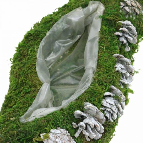 Floristik24 Plantador de musgo e cones verdes ondulados, branco lavado 41 × 15cm