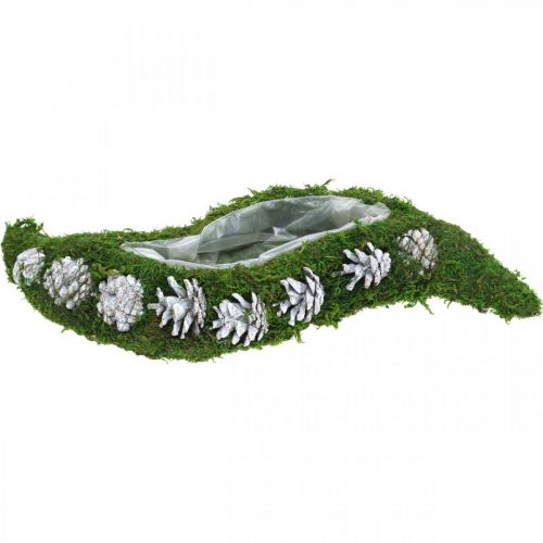 Floristik24 Plantador de musgo e cones verdes ondulados, branco lavado 41 × 15cm