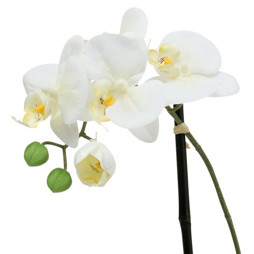 Itens Phalaenopsis branco em tigela decoração com flores Alt.38cm