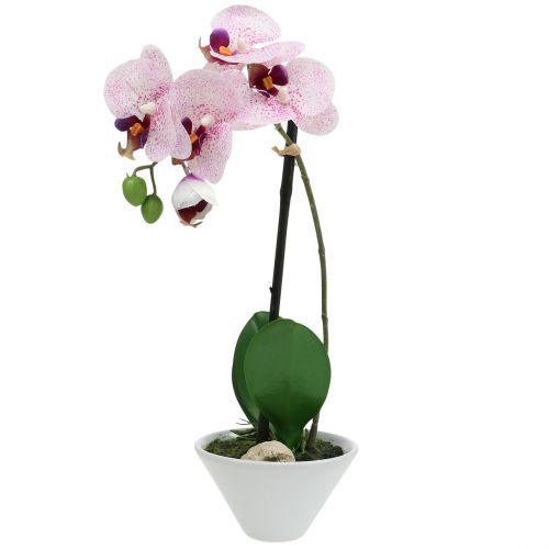 Phalaenopsis artificial roxo-branco em tigela Alt.38cm