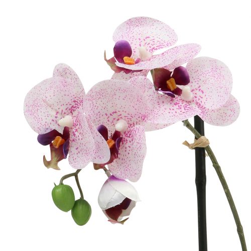 Itens Phalaenopsis artificial roxo-branco em tigela Alt.38cm