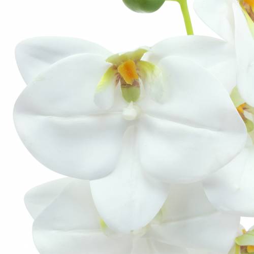 Floristik24 Ramo de orquídea artificial Phaelaenopsis Branco Alt.49cm
