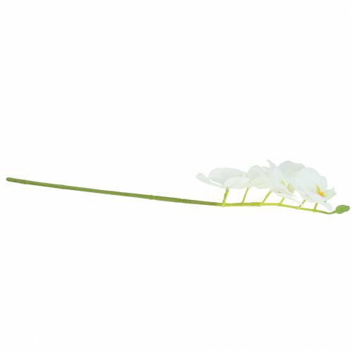 Floristik24 Ramo de orquídea artificial Phaelaenopsis Branco Alt.49cm