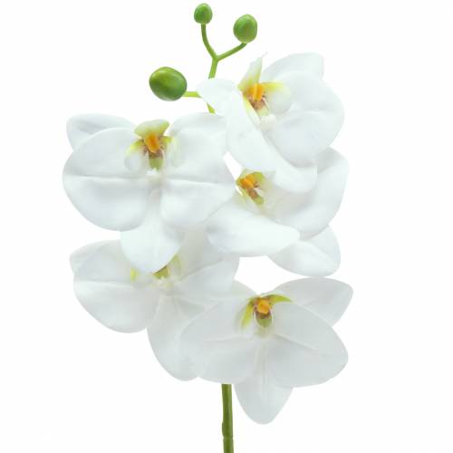 Floristik24 Ramo de orquídea artificial Phaelaenopsis Branco Alt.49cm