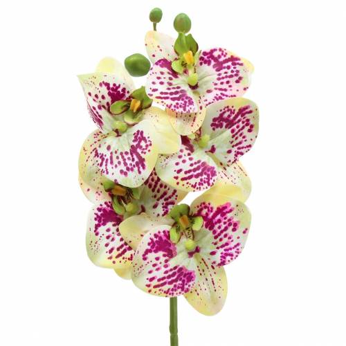 Floristik24 Ramo de orquídea artificial Phaelaenopsis Verde Rosa Alt.49cm
