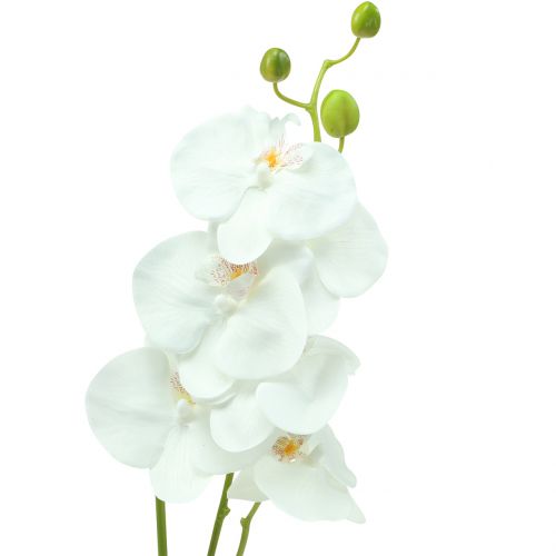 Floristik24 Orquídea Phalaenopsis branco artificial 80cm