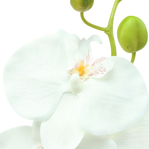 Itens Orquídea Phalaenopsis branco artificial 80cm