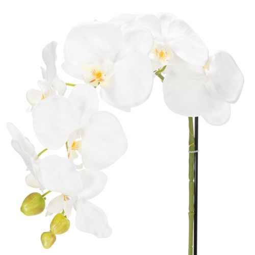 Itens Orquídea artificial, enganosamente realista, para decoração de escritório e sala de estar, 62 cm