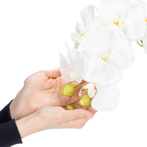 Itens Orquídea artificial, enganosamente realista, para decoração de escritório e sala de estar, 62 cm