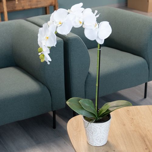 Itens Orquídea artificial, enganosamente realista, para decoração de escritório e sala de estar, 62 cm
