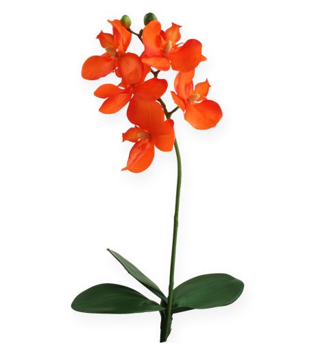 Floristik24 Orquídea artificial com folhas laranja 35cm