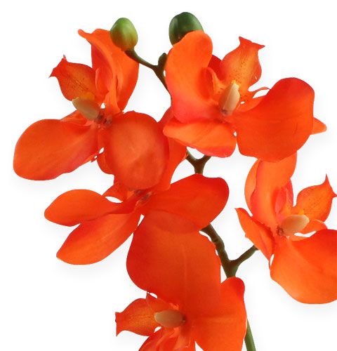 Itens Orquídea artificial com folhas laranja 35cm