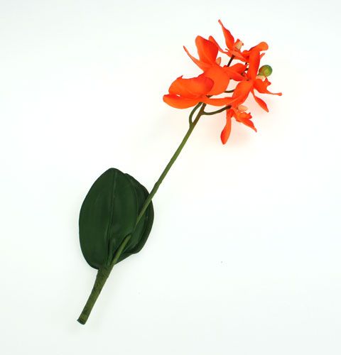 Floristik24 Orquídea artificial com folhas laranja 35cm
