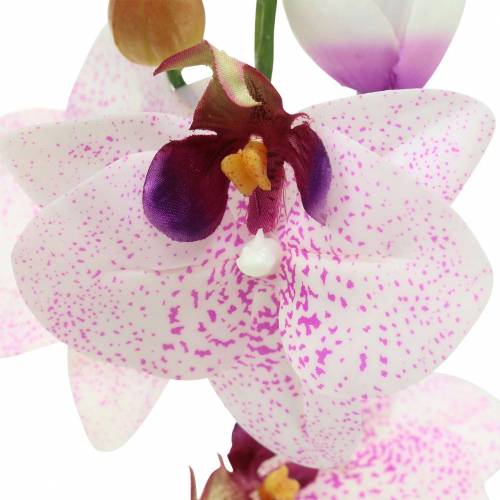 Itens Orquídea artificial Phaleanopsis Branco, Roxo 43cm