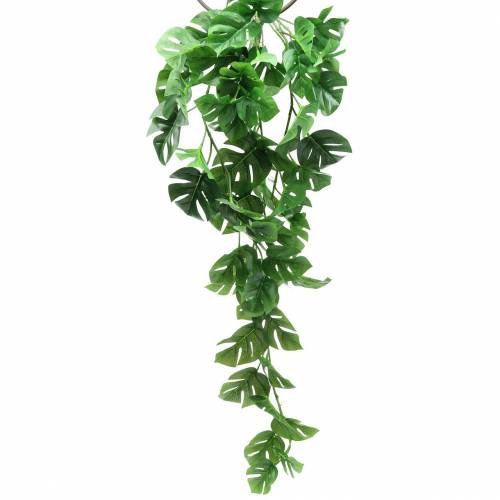 Floristik24 Cabide Philodendron verde 85cm