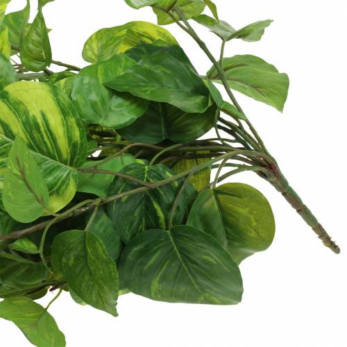Itens Cabide Filodendro 80cm