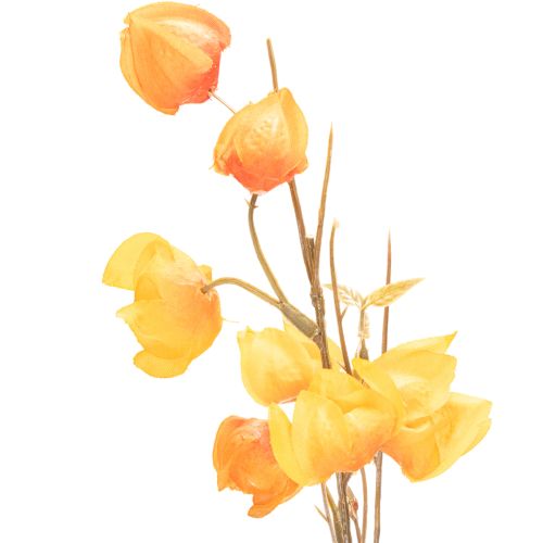Planta artificial de lanterna chinesa, ramo de fisális com flores, 95 cm | Floristik24.pt