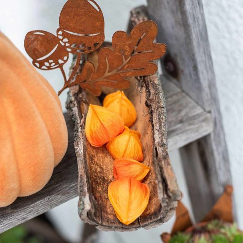 Floristik24 Physalis Orange Sortido 22 peças cálices artificiais decorativos