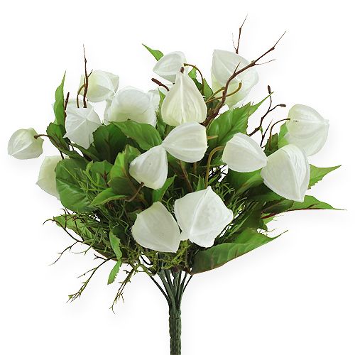 Floristik24 Physalis bush branco 30cm