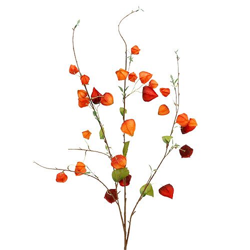 Floristik24 Ramo Physalis 90cm laranja 3pcs