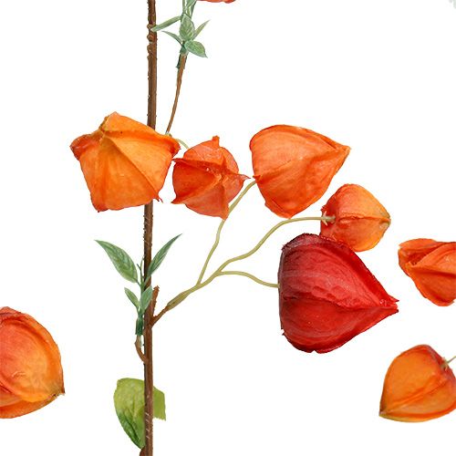 Floristik24 Ramo Physalis 90cm laranja 3pcs