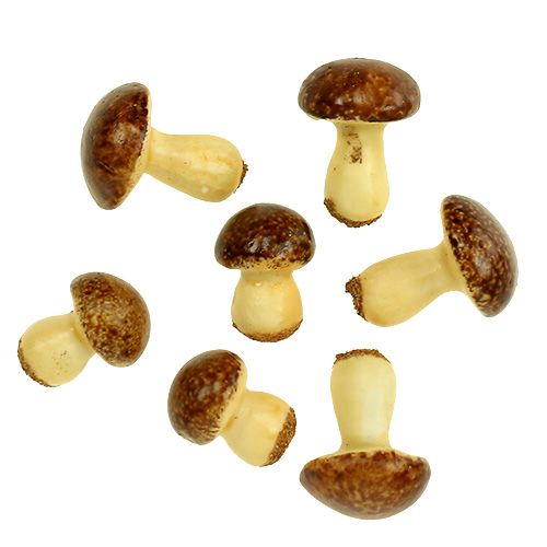 Floristik24 Mistura de cogumelo marrom 24pcs