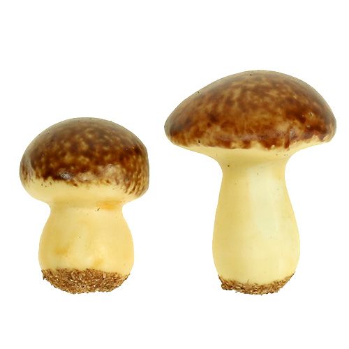 Floristik24 Mistura de cogumelo marrom 24pcs
