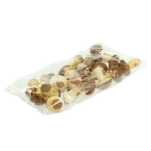 Floristik24 Mistura de cogumelo marrom 24pcs