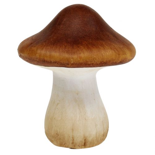Floristik24 Mistura de cogumelos feita de cerâmica de argila marrom 9cm 8 unidades