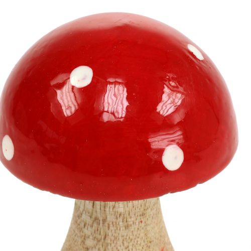 Floristik24 Toadstool feito de madeira vermelha 11,5cm