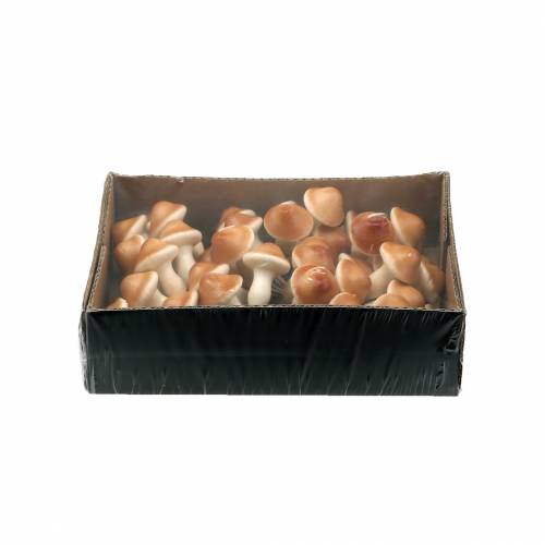 Floristik24 Cogumelos em arame natureza 2cm 48 un