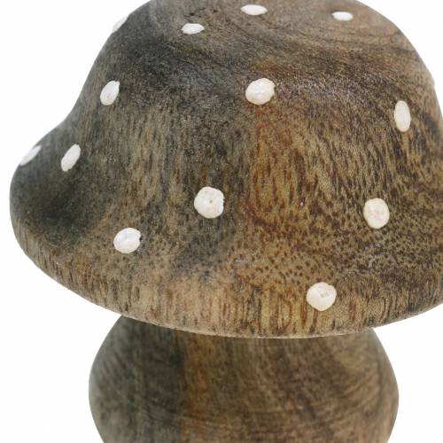 Floristik24 Cogumelo decorativo de madeira natural 5 cm 6 unidades