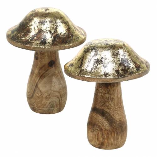 Floristik24 Cogumelo de madeira dourado, madeira natural de manga Ø6,8cm H9,8cm 2pcs