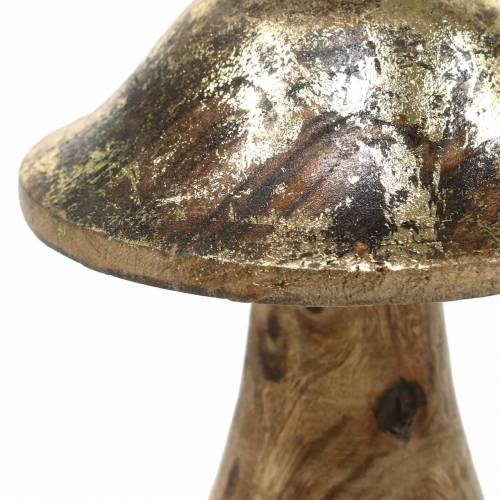Floristik24 Cogumelo de madeira dourado, madeira natural de manga Ø6,8cm H9,8cm 2pcs