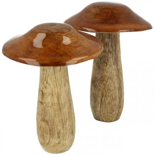 Floristik24 Madeira de cogumelo manga marrom, decoração de mesa natureza outono Ø9cm Alt.12cm 2pcs