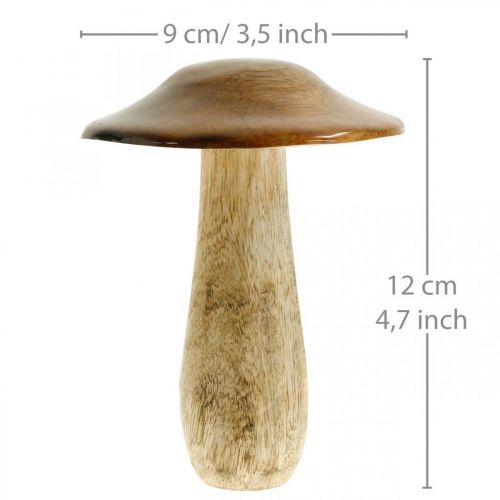 Floristik24 Madeira de cogumelo manga marrom, decoração de mesa natureza outono Ø9cm Alt.12cm 2pcs