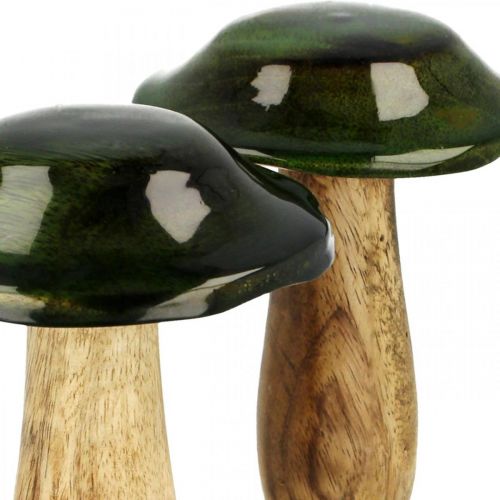 Floristik24 Decoração de outono em madeira de manga verde cogumelo feito de madeira Ø9cmH11cm 2pcs