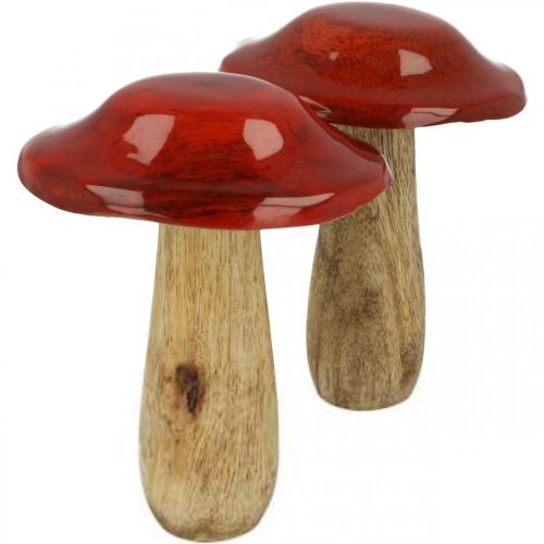 Floristik24 Madeira de manga cogumelo vermelho, decoração da natureza outono Ø9cm H12cm 2pcs