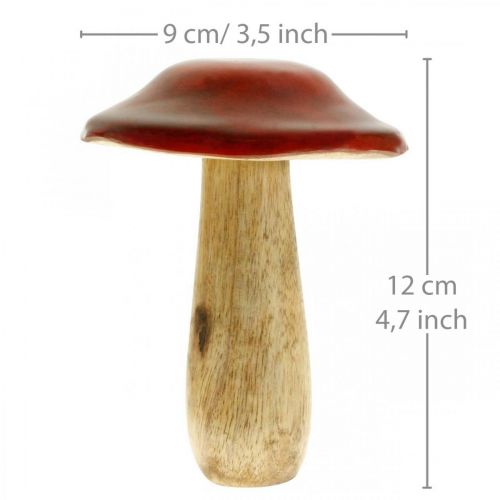 Floristik24 Madeira de manga cogumelo vermelho, decoração da natureza outono Ø9cm H12cm 2pcs