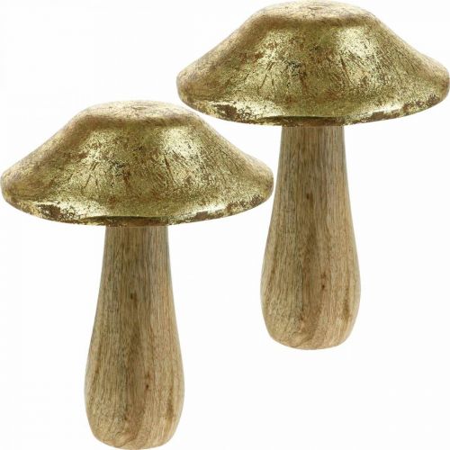 Floristik24 Cogumelo manga madeira ouro, cogumelos naturais deco grande Ø12cm H15cm 2pcs